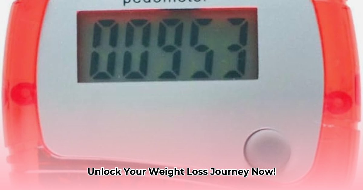 calorie-counter-pedometer